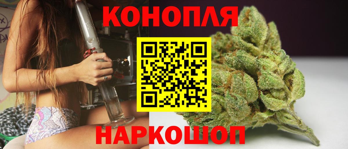 Бошки Шишки семена Новоалександровск